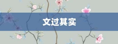 文过其实【文过其实的意思】- 成语大全