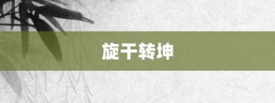 旋干转坤【旋干转坤的意思】- 成语大全