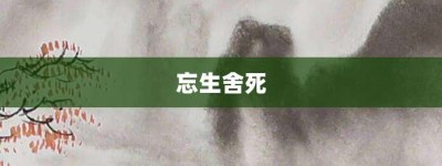 忘生舍死【忘生舍死的意思】- 成语大全