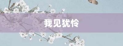 我见犹怜【我见犹怜的意思】- 成语大全