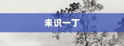 未识一丁【未识一丁的意思】- 成语大全