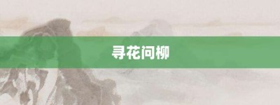 寻花问柳【寻花问柳的意思】- 成语大全