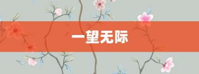 一望无际【一望无际的意思】- 成语大全