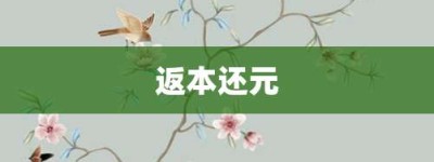 返本还元【返本还元的意思】- 成语大全