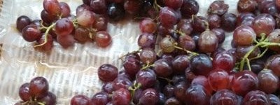 吃洋葱的八大好处_饮食文化 菊江历史网