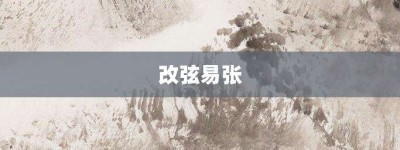 改弦易张【改弦易张的意思】- 成语大全