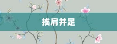 挨肩并足【挨肩并足的意思】- 成语大全