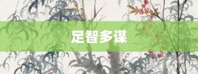 足智多谋【足智多谋的意思】- 成语大全