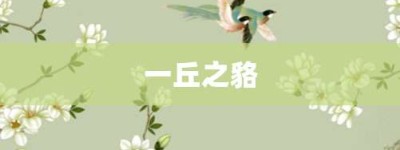 一丘之貉【一丘之貉的意思】- 成语大全