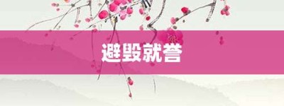 避毁就誉【避毁就誉的意思】- 成语大全