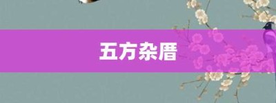 五方杂厝【五方杂厝的意思】- 成语大全