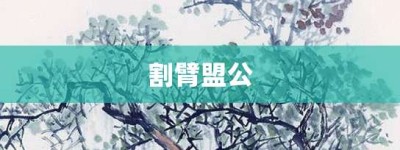 割臂盟公【割臂盟公的意思】- 成语大全