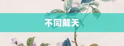 不同戴天【不同戴天的意思】- 成语大全