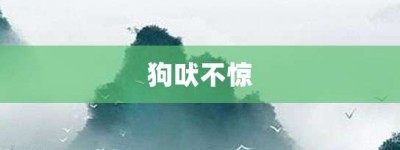 狗吠不惊【狗吠不惊的意思】- 成语大全