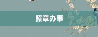 照章办事【照章办事的意思】- 成语大全