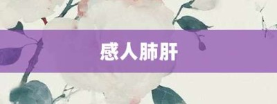 感人肺肝【感人肺肝的意思】- 成语大全
