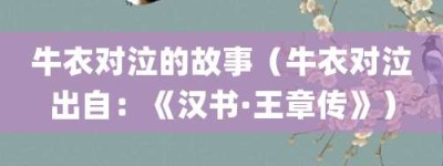 牛衣对泣的故事（牛衣对泣出自：《汉书·王章传》）_成语故事 菊江历史网
