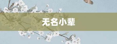 无名小辈【无名小辈的意思】- 成语大全