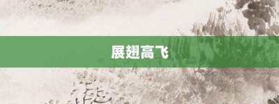 展翅高飞【展翅高飞的意思】- 成语大全