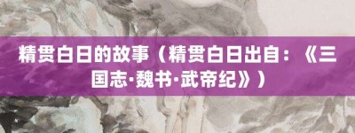 精贯白日的故事（精贯白日出自：《三国志·魏书·武帝纪》）_成语故事 菊江历史网