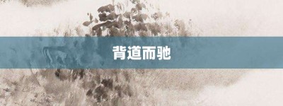 背道而驰【背道而驰的意思】- 成语大全