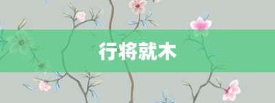 行将就木【行将就木的意思】- 成语大全