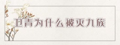 卫青为什么被灭九族_汉朝历史 菊江历史网