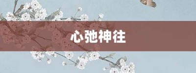 心弛神往【心弛神往的意思】- 成语大全