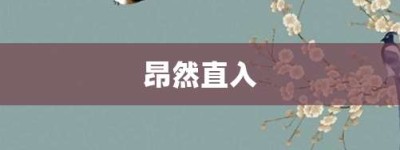 昂然直入【昂然直入的意思】- 成语大全