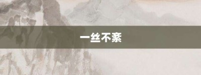 一丝不紊【一丝不紊的意思】- 成语大全