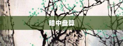 暗中盘算【暗中盘算的意思】- 成语大全