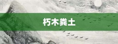 朽木粪土【朽木粪土的意思】- 成语大全