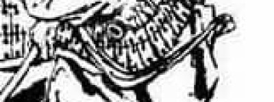 灌夫【西汉时期官员】 – 人物百科