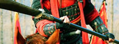 王贵简介_王贵的儿子_王贵的故事_王贵怎么死的 菊江历史网