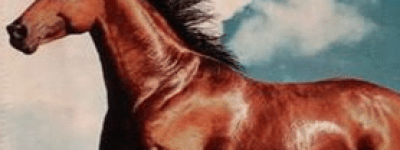 汉武帝远征大宛有什么意义？不光是为了宝马_汉朝历史 菊江历史网