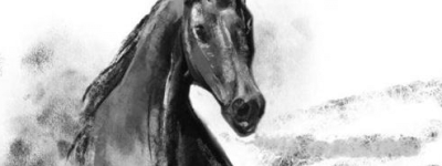 古代的骟马是什么样子的？李光弼的“母马计”是什么？_稗官野史 菊江历史网