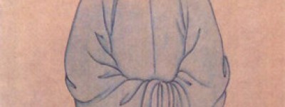 刘墉简介_刘墉的儿子_刘墉的故事_刘墉怎么死的 菊江历史网