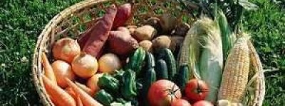 日本冲绳人最喜爱的长寿菜 海带烧排骨_饮食文化 菊江历史网