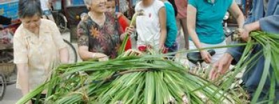 壮族文化 壮族医药文化是怎样发展的_民俗文化 菊江历史网