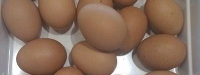 水煮肉片的简单做法 开胃健脾助消化_饮食文化 菊江历史网