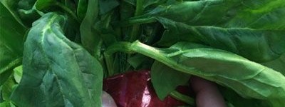 六种简单食物 巧塑完美身材_饮食文化 菊江历史网