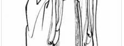 散宜生【西周开国功臣，“文王四友”之一】 – 人物百科