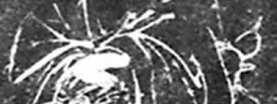 何承天简介_何承天的儿子_何承天的故事_何承天怎么死的 菊江历史网