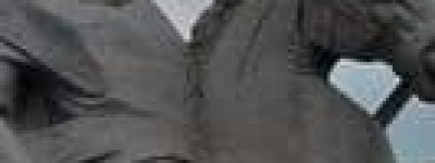 秃发乌孤【十六国时期南凉国建立者】 – 人物百科