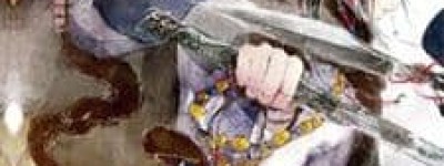 拓跋翳槐【十六国时期鲜卑索头部首领】 – 人物百科