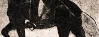 曹福田简介_曹福田的儿子_曹福田的故事_曹福田怎么死的 菊江历史网