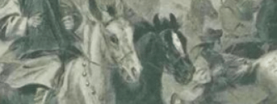 清朝时期的人口为什么会爆炸式增长？真正原因是什么？_乡村野史 菊江历史网