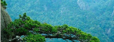 江西三清山有什么风景？江西三清山的地理景观_民间艺术 菊江历史网