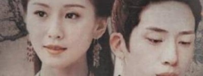 宋仁宗赵祯的掌上明珠，竟然跟太监有私情？_稗官野史 菊江历史网