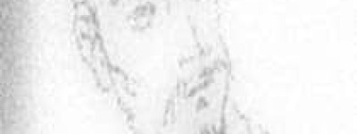 卫靖伯【卫国第6代国君】 – 人物百科